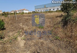imagem_11