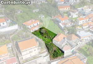 imagem_7