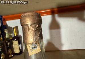 imagem_7