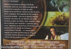 imagem_11