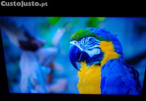 Smart tv Samsung QLED 4K 55 polegadas.
