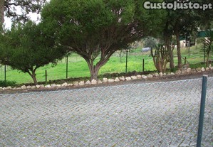 imagem_11