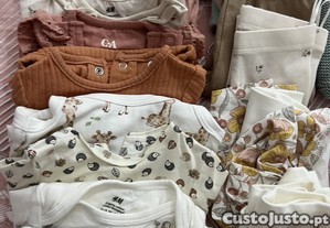 imagem_8
