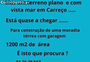 imagem_1
