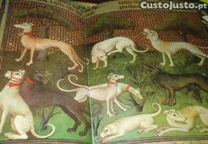 imagem_5