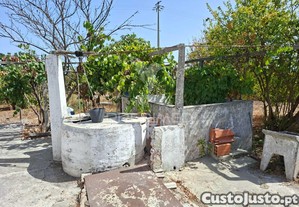 imagem_15