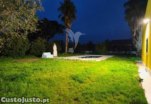 imagem_26