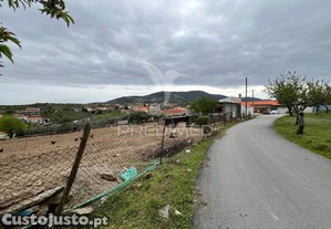 imagem_11