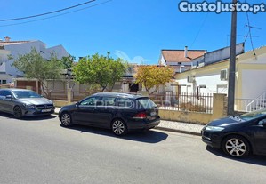 imagem_28