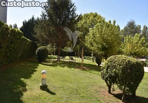 imagem_30