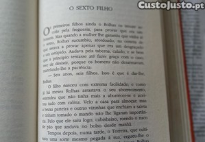 imagem_5