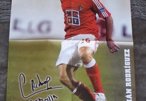 imagem_2