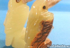 imagem_1
