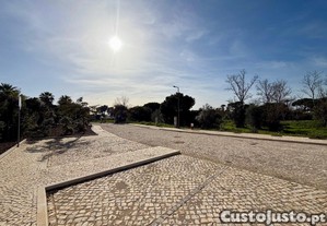 imagem_8