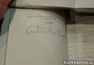imagem_11