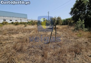 imagem_15