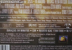 imagem_13