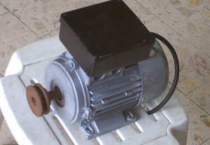 motor eletrico monofasico 1400rpm bom para batoneira outras aplicaçoes