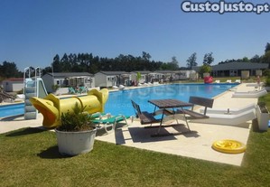 imagem_19