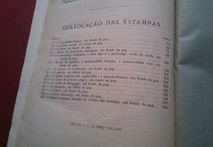 imagem_14