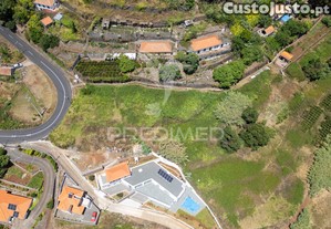Terreno caniço