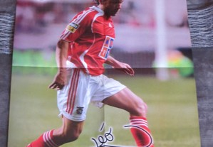 imagem_6
