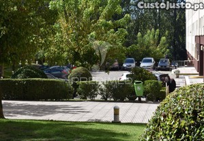 imagem_31