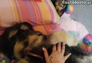 imagem_5