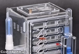 Formicario Ant Farm Formicarium formigas estimação com bebedouros NOVO