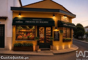imagem_13
