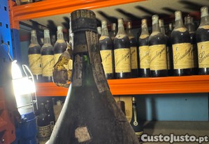 imagem_3