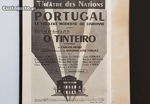 imagem_7