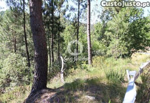 [240-T-25211] Terreno rustico com 1.200m2 em Te...