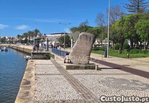 imagem_15