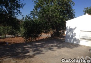 imagem_7
