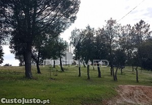 imagem_29