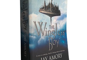 The wingless boy - Jay Amory