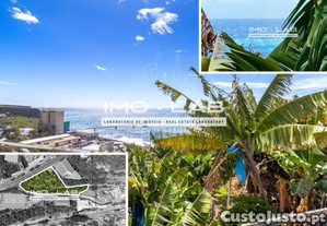 Terreno Próximo Ao Centro De Câmara De Lobos!