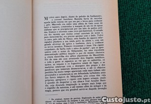 imagem_7
