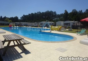 imagem_21