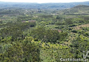 imagem_7