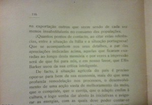 imagem_8