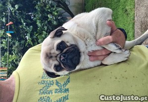 imagem_3
