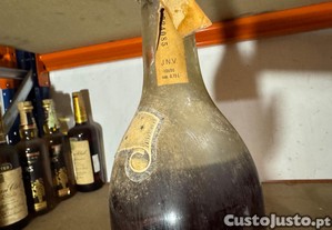 imagem_4