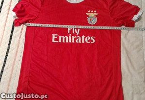 imagem_7