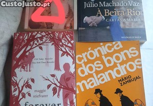 imagem_2