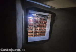 imagem_11