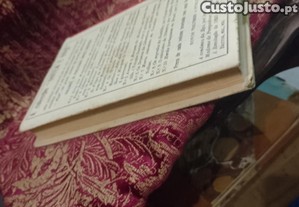 imagem_6