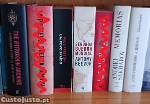 imagem_1