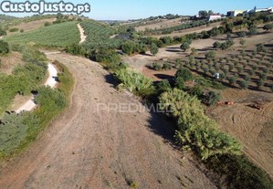Terreno rústico em nabais   santarém | 10.880 m²